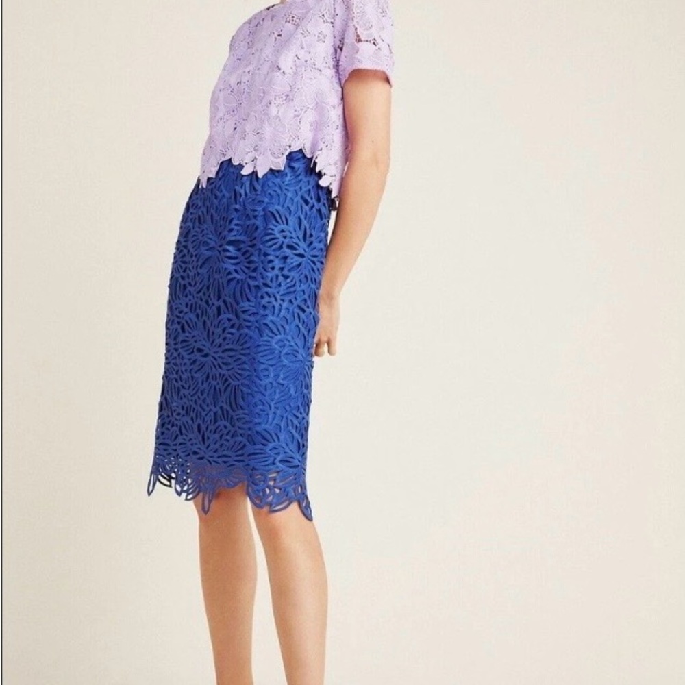 NWT Eri + Ali Graceanne Colorblocked Lace Dress